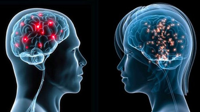 Apa Perbedaan Antara Alzheimer dan Demensia Vaskular?